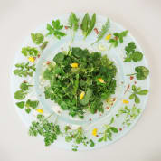 Forage London - The Edible City