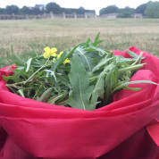Forage London - The Edible City