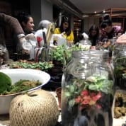 PRIVATE: Terrarium Design School