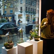 PRIVATE: Terrarium Design School