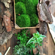 PRIVATE: Terrarium Design School