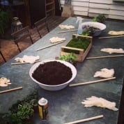 PRIVATE: Terrarium Design School