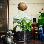 Terrarium Design School for Two