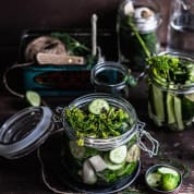 Ferment and Preserve for Two