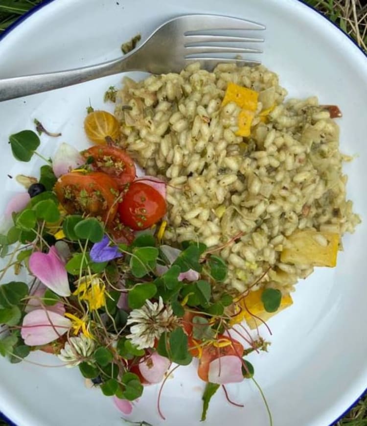 Wild Garlic Forage and Feast for Two