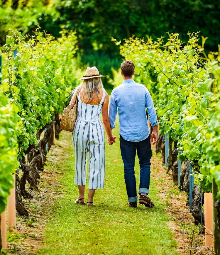 Tour and Tasting for Two at Chapel Down Vineyard