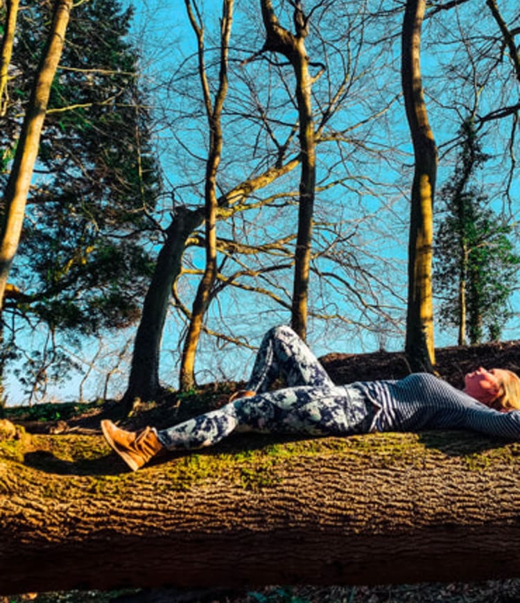Yoga and Forest Bathing (Brighton)