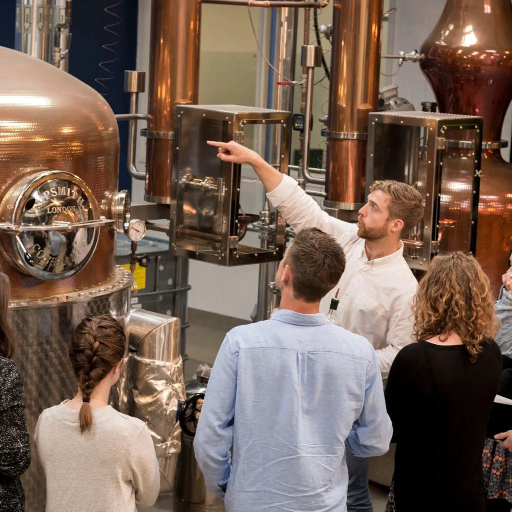Gin Tasting Experience London