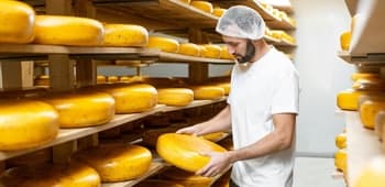 The Science Behind Cheese