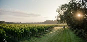 Pros and Cons of Escaping the City