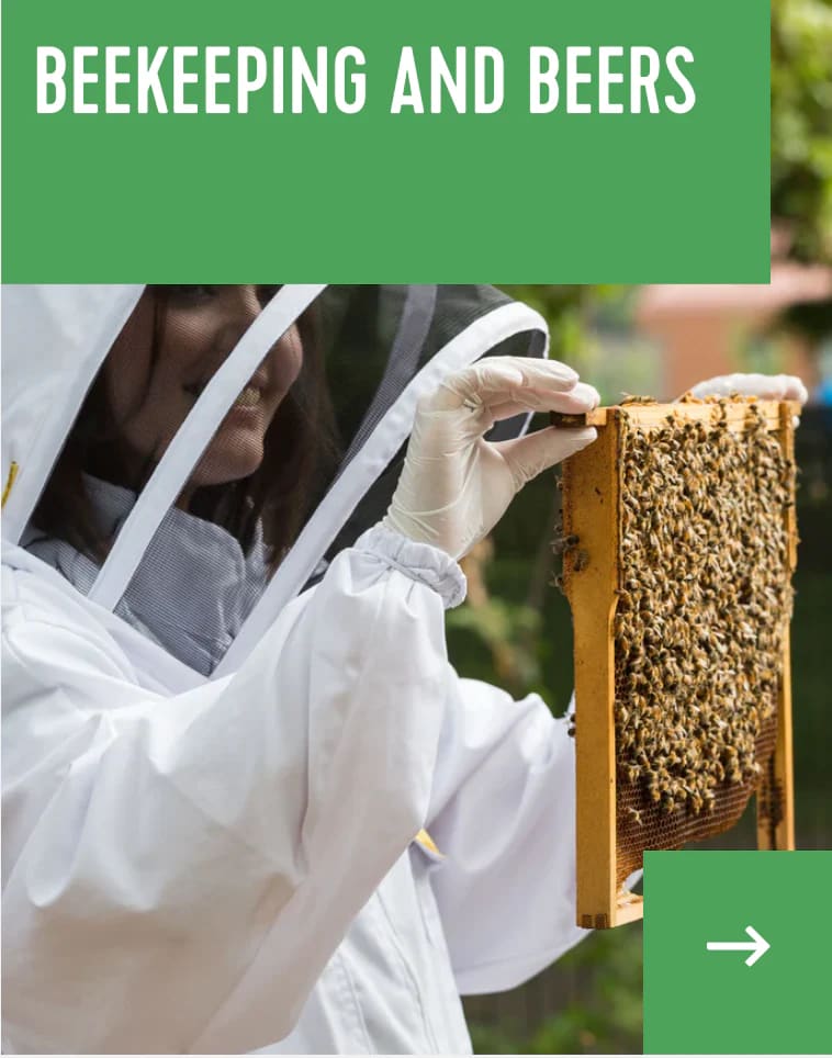 beekeeping experience gift.png__PID:45a126e6-4d34-4798-924b-c82aa7344bd8
