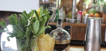 Spotlight: Cocktail Making Class With TT Liquor