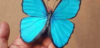 Paper Butterflies