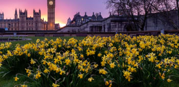 The Ultimate Guide to London Experiences