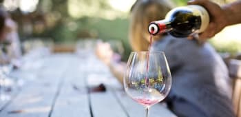 Unveiling The Indytute's Wine Tasting Experiences