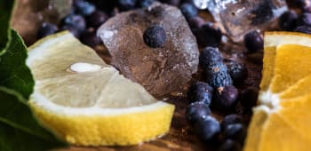 What to Expect from a Gin Tasting Experience in London?