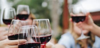 Wine Tasting Experiences in London: The Indytute's Guided Journey Through Flavours