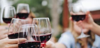 Wine Tasting London: Discover The Indytute's Exquisite Selection