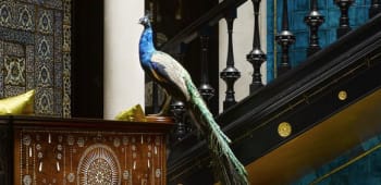 LITTLE KNOWN REASONS TO VISIT THE ROYAL BOROUGH