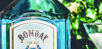 BLOG: 11 Brilliant Gin Adventures