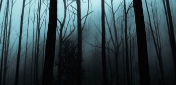 Events to Sink your Teeth Into