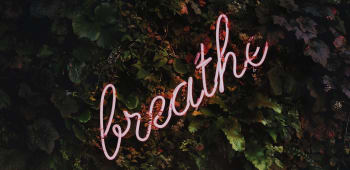 How to De-Stress: Part 1