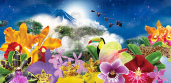 8 Ways to Impress a Date