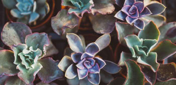 What is terrazzo? And how to make it at home