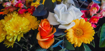 What is the meaning of Mother's Day?