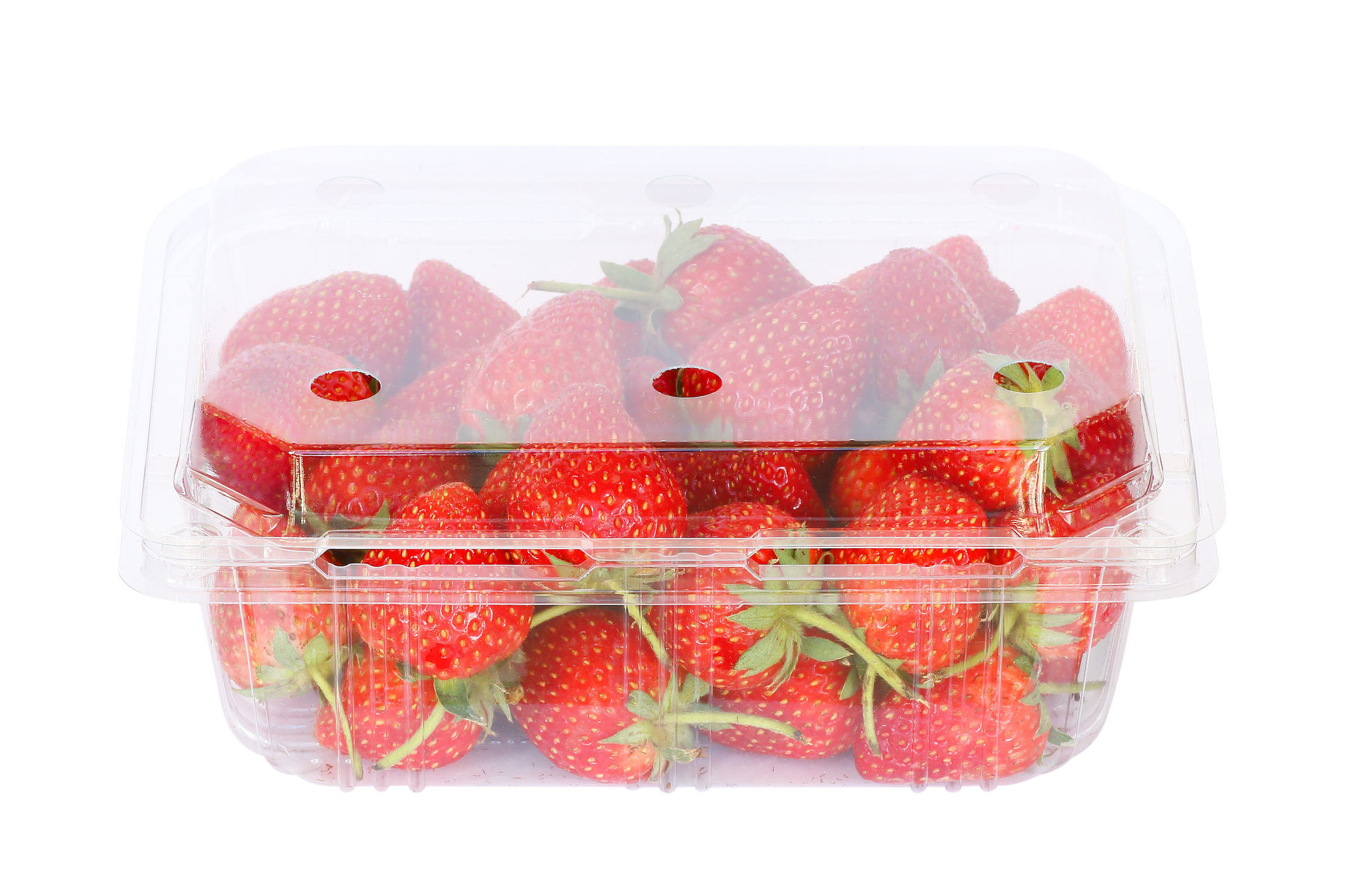 Strawberries in polystyrene packaging