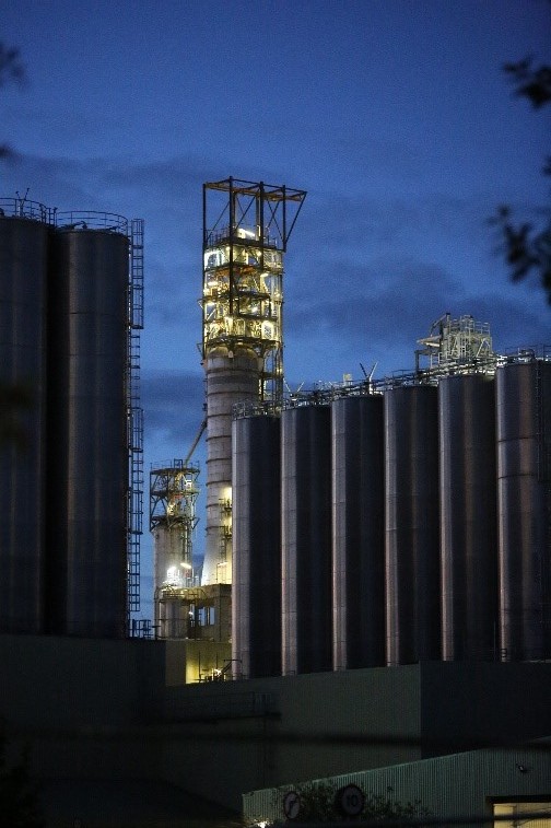 evening poly plant port.jpg