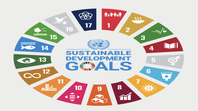 sustainable goals diagrm.png