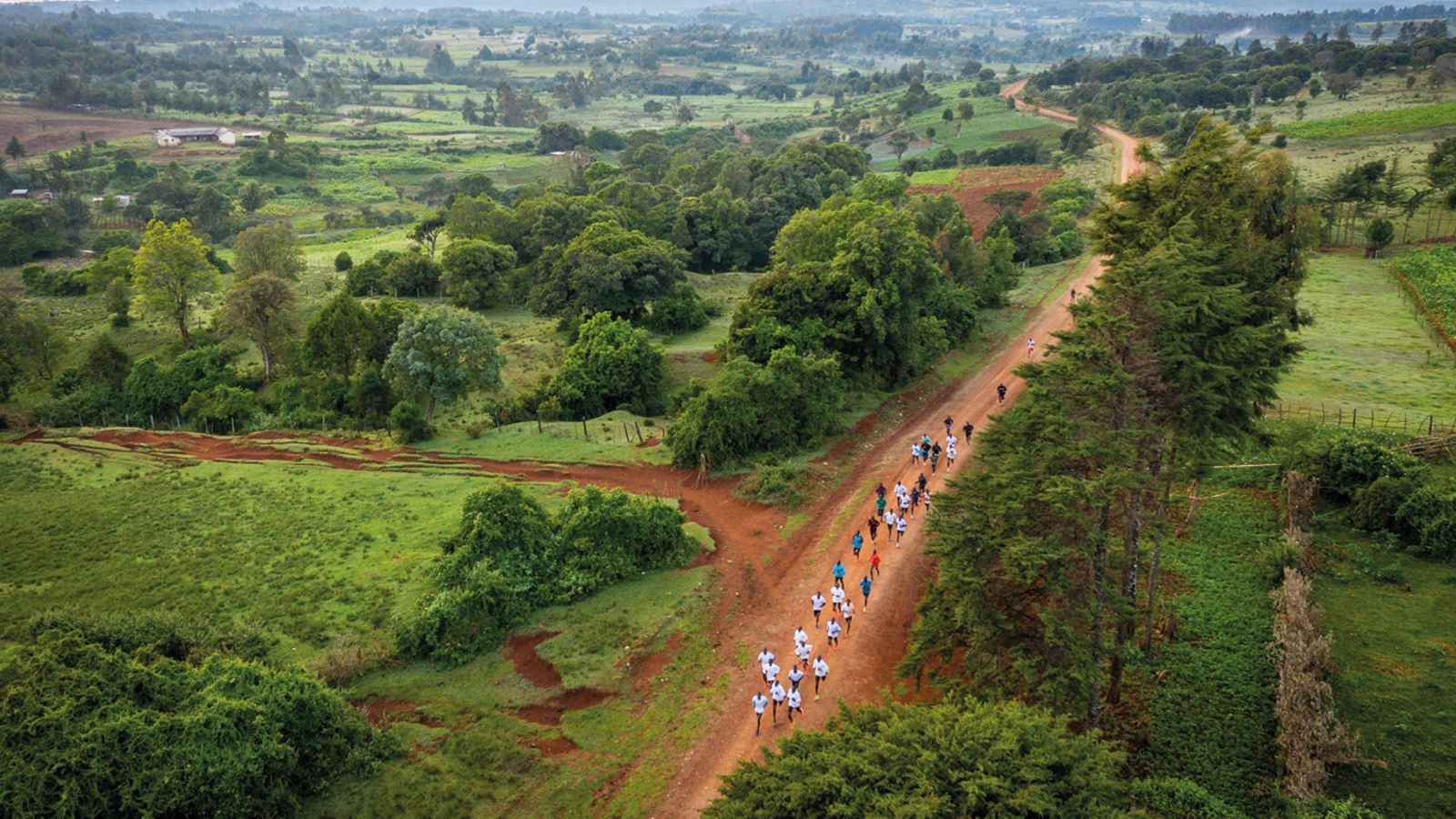 My dream is to make this world a running world