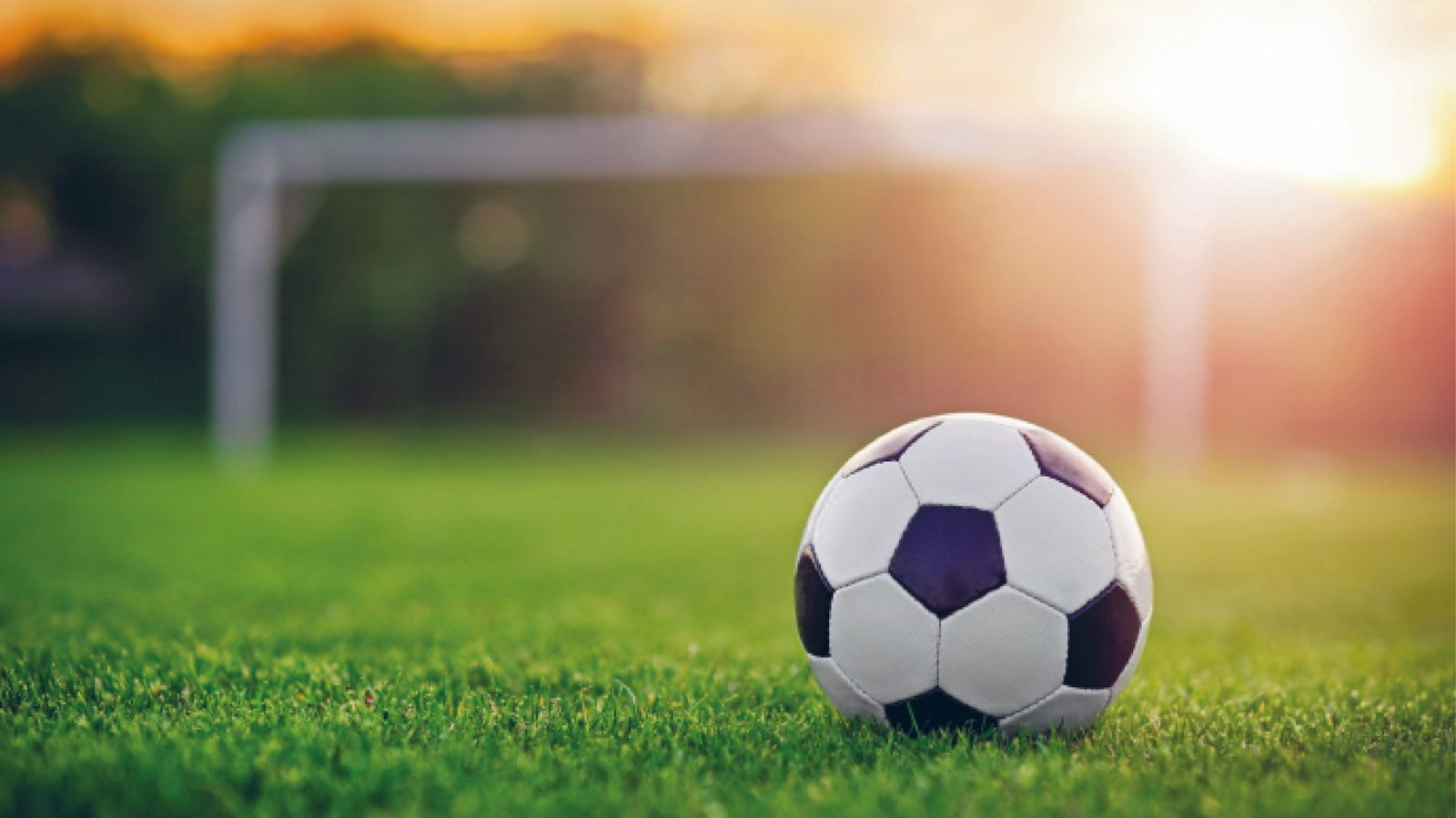 Le Professeur de l’herbe
