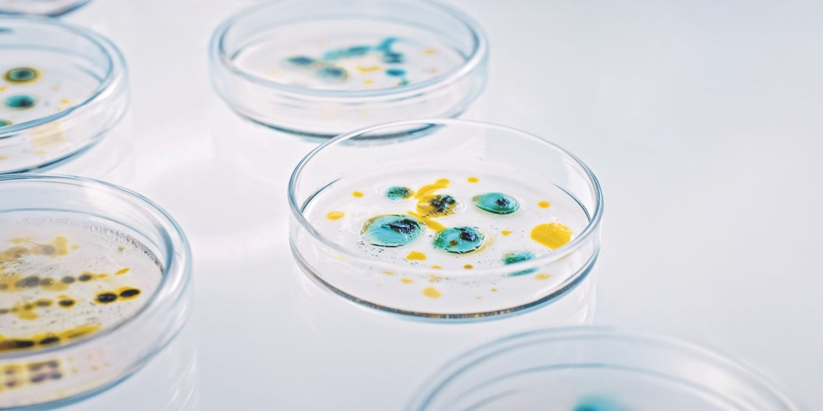 £1m gift to help Ineos Oxford Institute develop new antibiotic