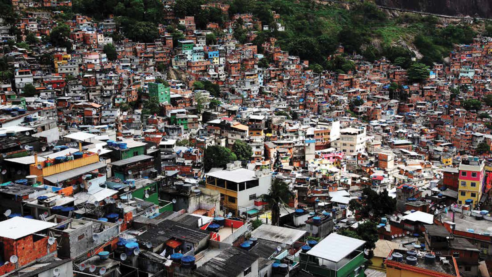 The Nine Billion People Question