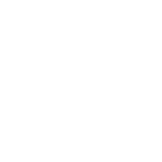 Investors Ineos Group