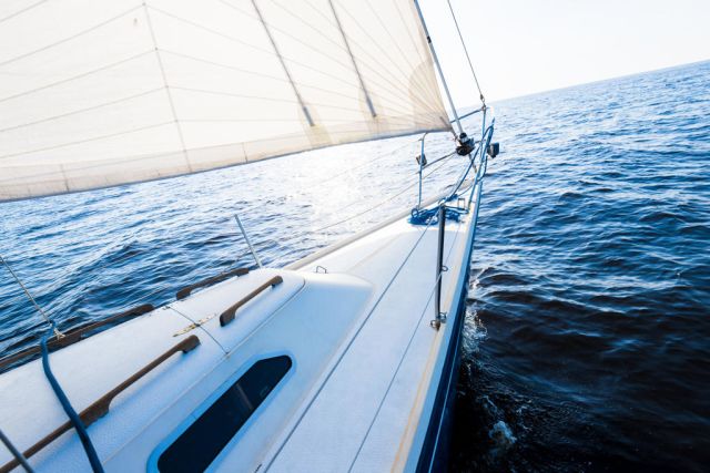 shutterstock_1733767133-1024x683.jpg
