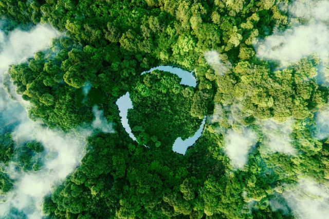 shutterstock_2042393249 (Large).jpg