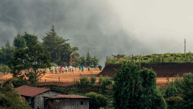 The Training Camp