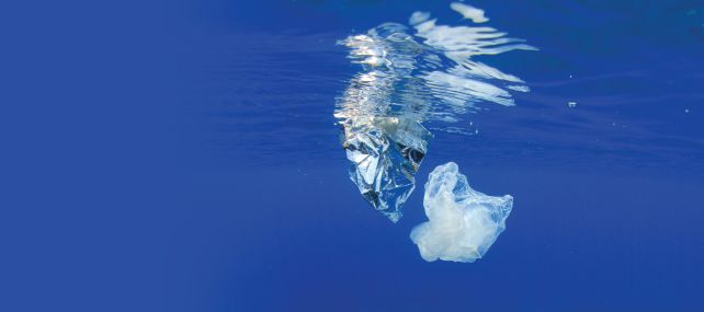 INEOS joins battle to turn tide on plastic pollution