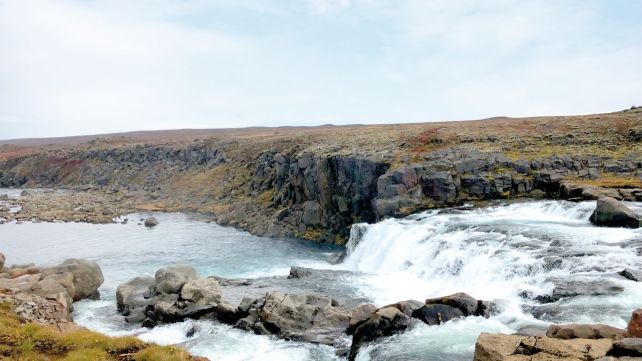 A meeting of minds – Saving the Atlantic Salmon