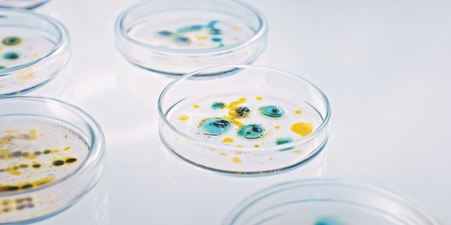 £1m gift to help Ineos Oxford Institute develop new antibiotic