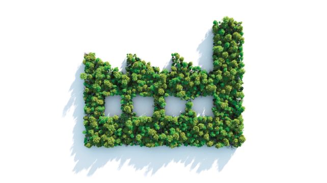 Debate: Can we really decarbonise the economy?