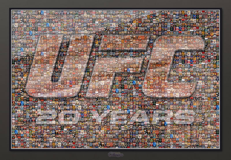 UFC Photo Mosaic DVD Covers Framed