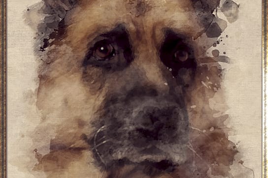 Custom-made designer watercolor artwork for dog