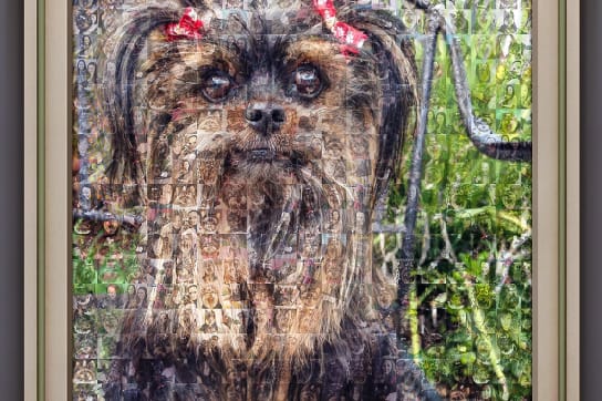 Creative picture mosaic poster made from dog photos wall art