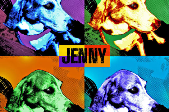 Colorful Warhol wall pop art canvas printing of family dog Jenny