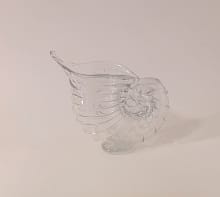 blown glass shell vase transparent