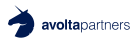 AVOLTA PARTNERS AVOLTA PARTNERS